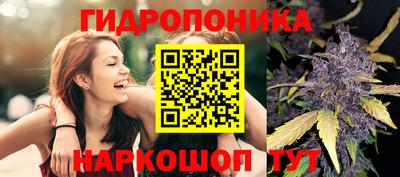 гашик Рязань
