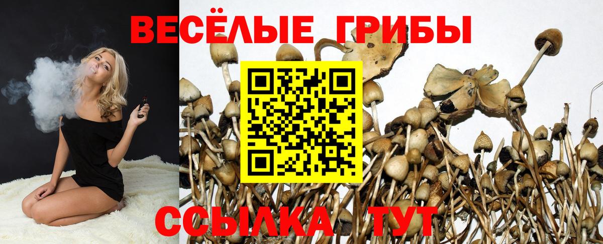 Псилоцибиновые грибы мухоморы  хочу   Мурманск  Вход с VPN 